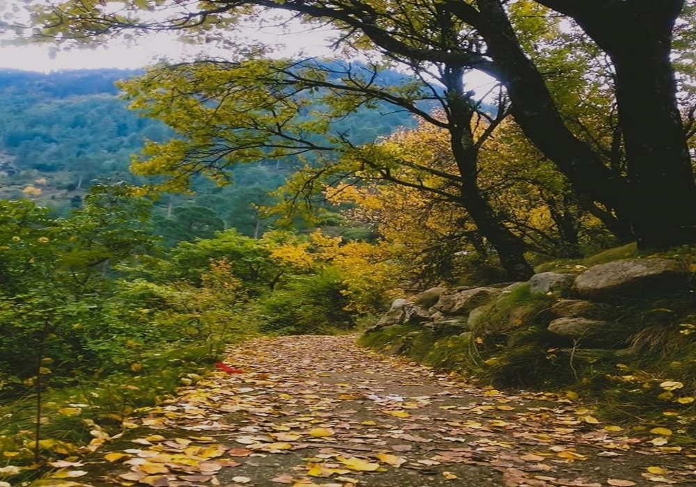 Sainj valley