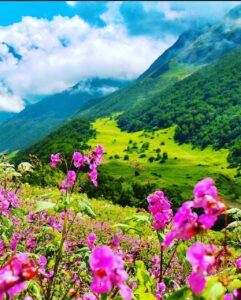 valley of flower trek