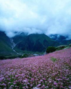 valley of flower trek
