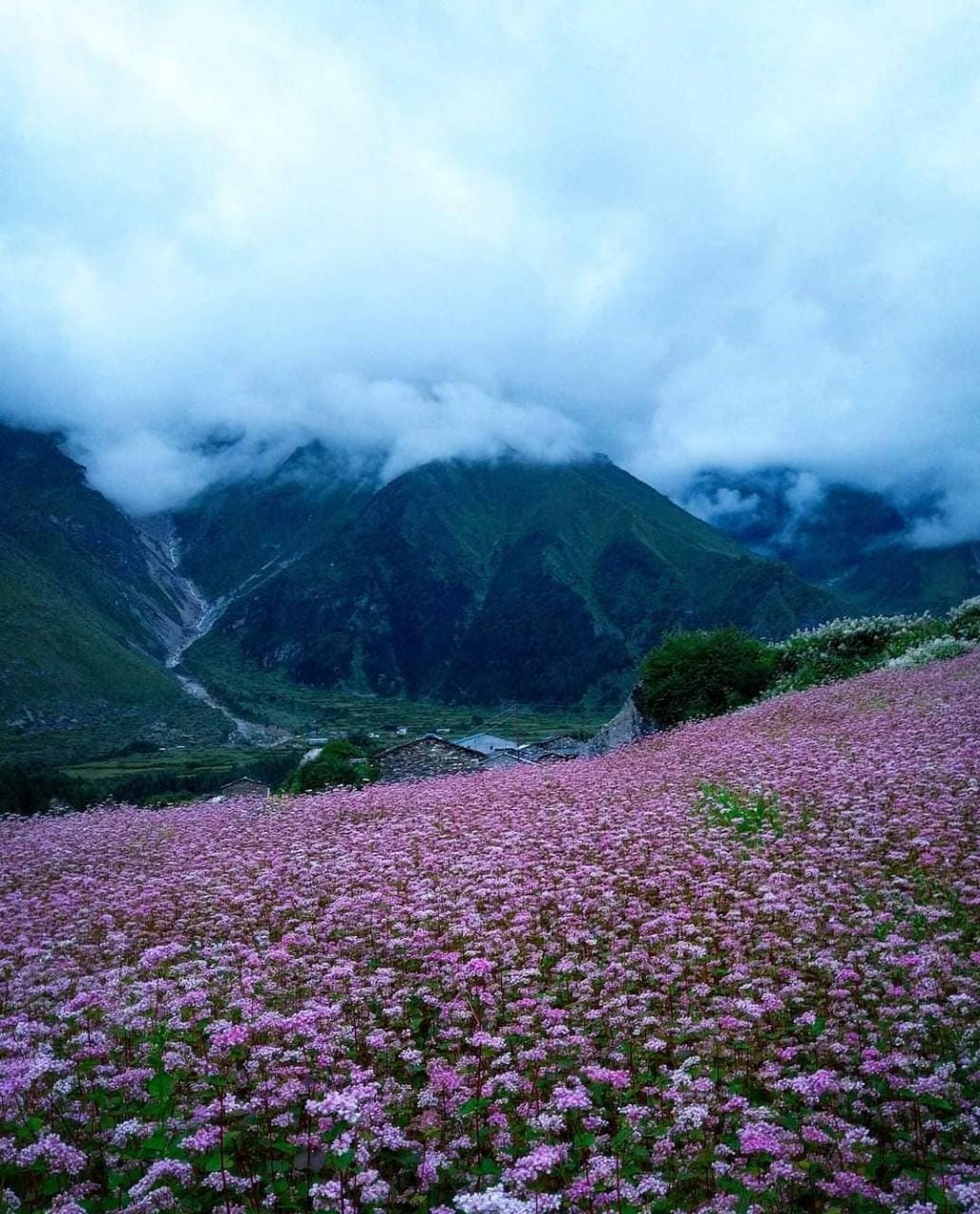 valley of flower trek