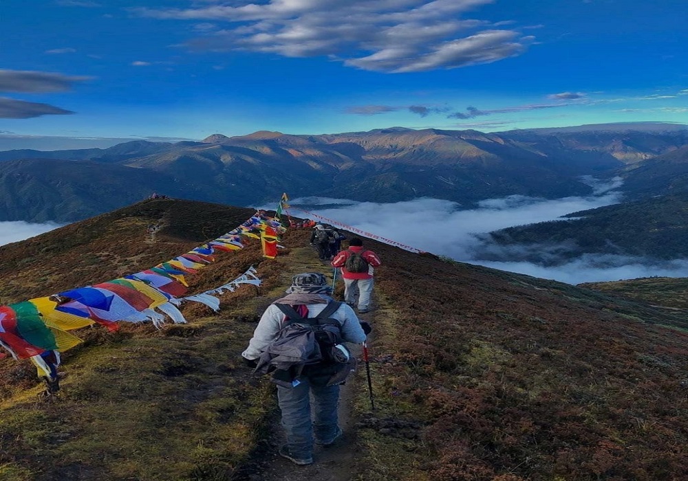 dzongri trek