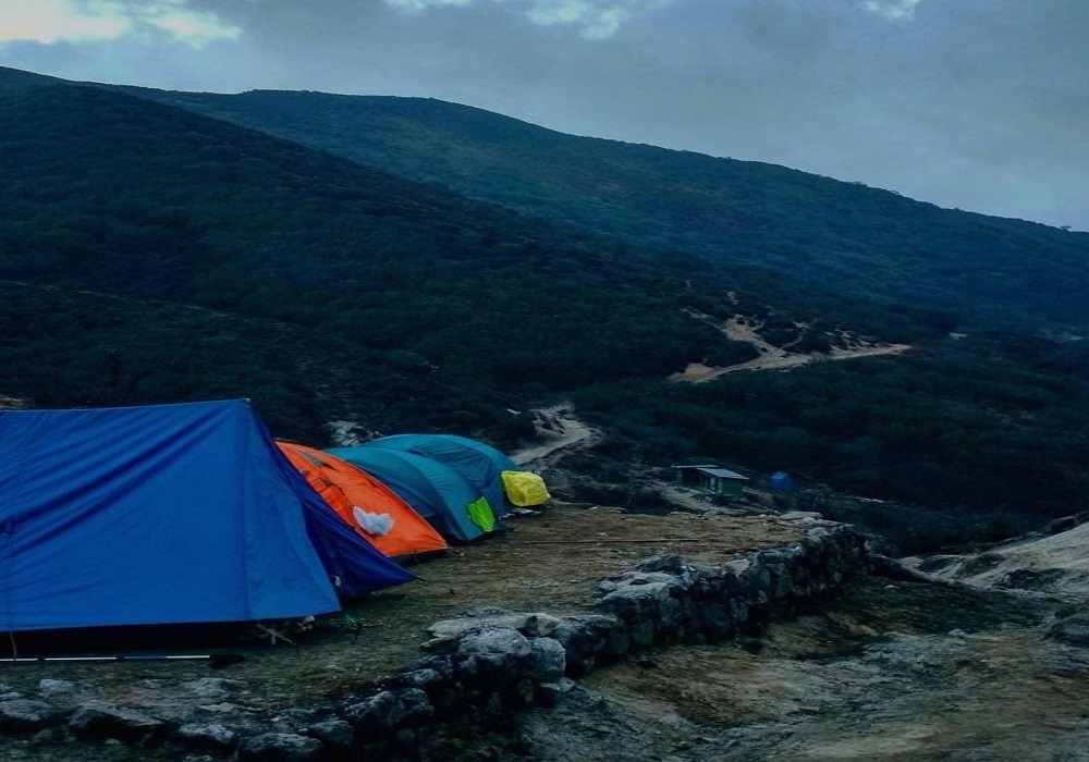 dzongri trek