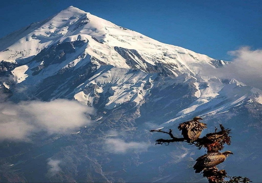 panchachuli base camp